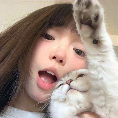 庇护所